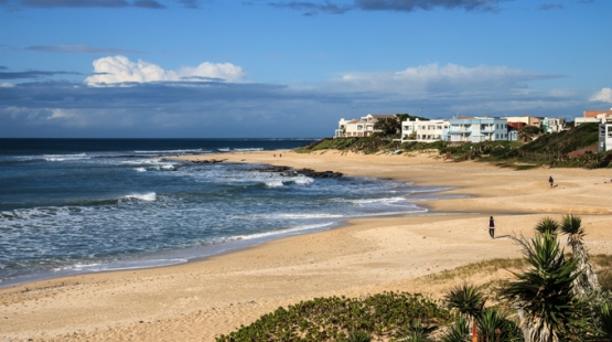 Of Surfers and Sharks