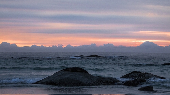 NOORDHOEK EVENING GLORY