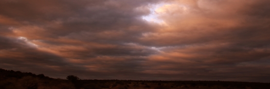 Addo - something different, something wonderful